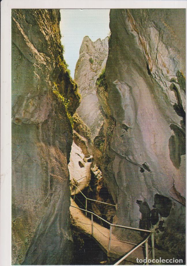 Postales: La Yecla. Santo domingo de Silos. sin c&iacute;rculos - Foto 1