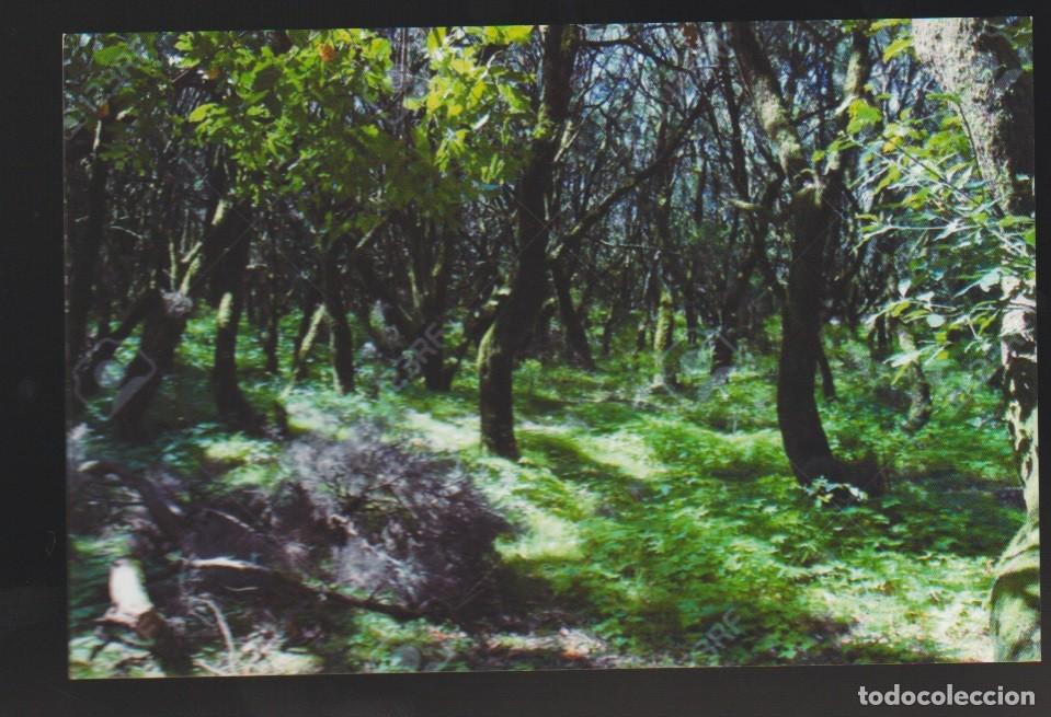 Postales: ESPA&Ntilde;A postales de varios lugares 20 - Foto 1