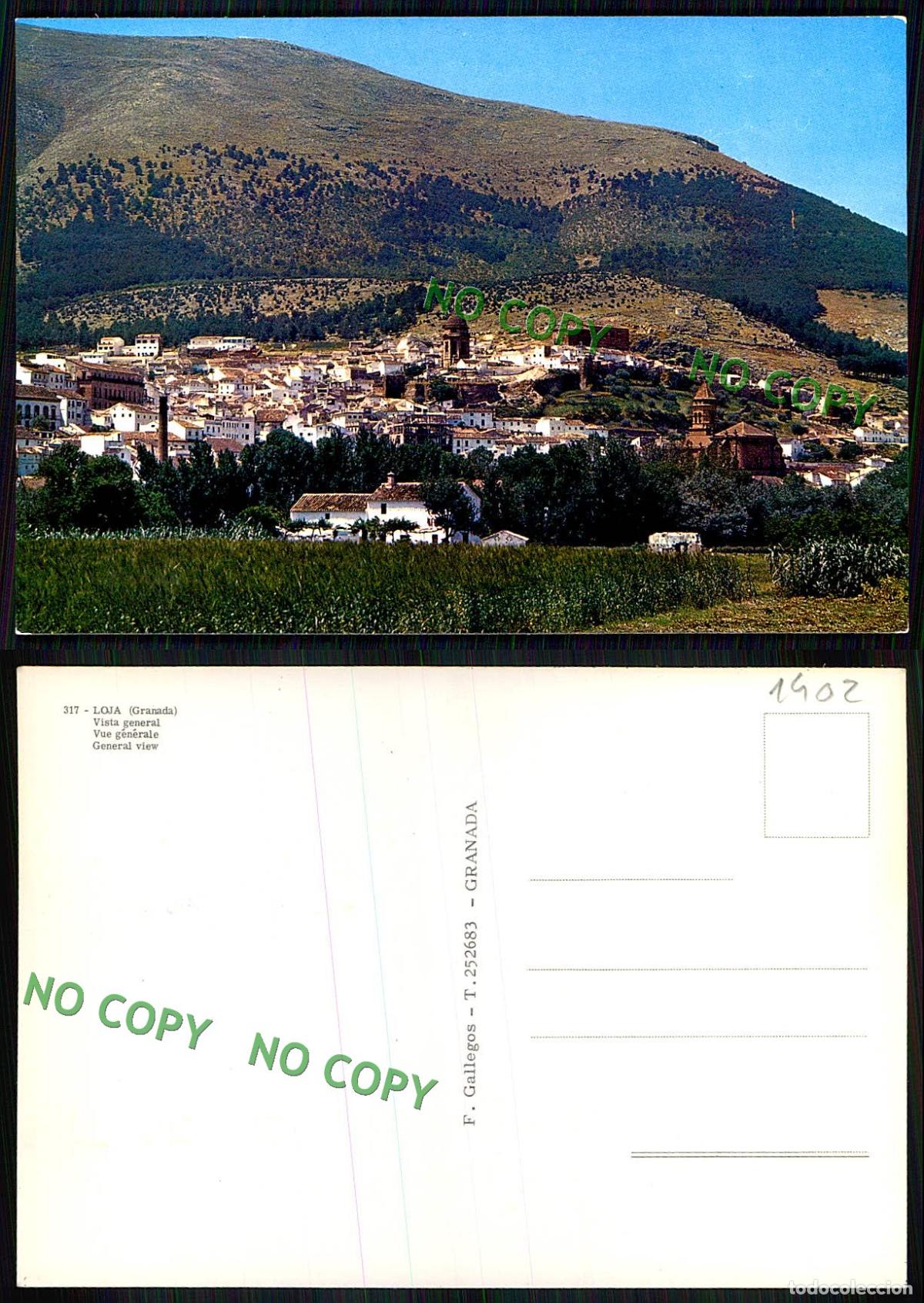Postales: [ EC 01402 ] - ESPANA - LOJA - GRANADA - VISTA GENERAL - Foto 1