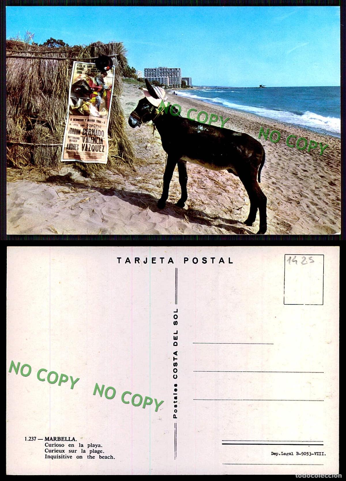 Postales: [ EC 01425 ] - ESPANA - MARBELLA - CURIOSO EN LA LAYA - Foto 1