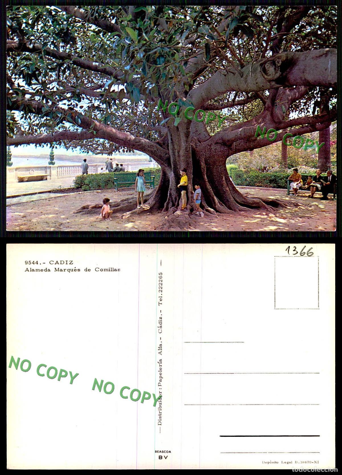 Postales: [ EC 01366 ] - ESPANA - CADIZ - ALAMEDA MARQUES DE COMILLAS - Foto 1