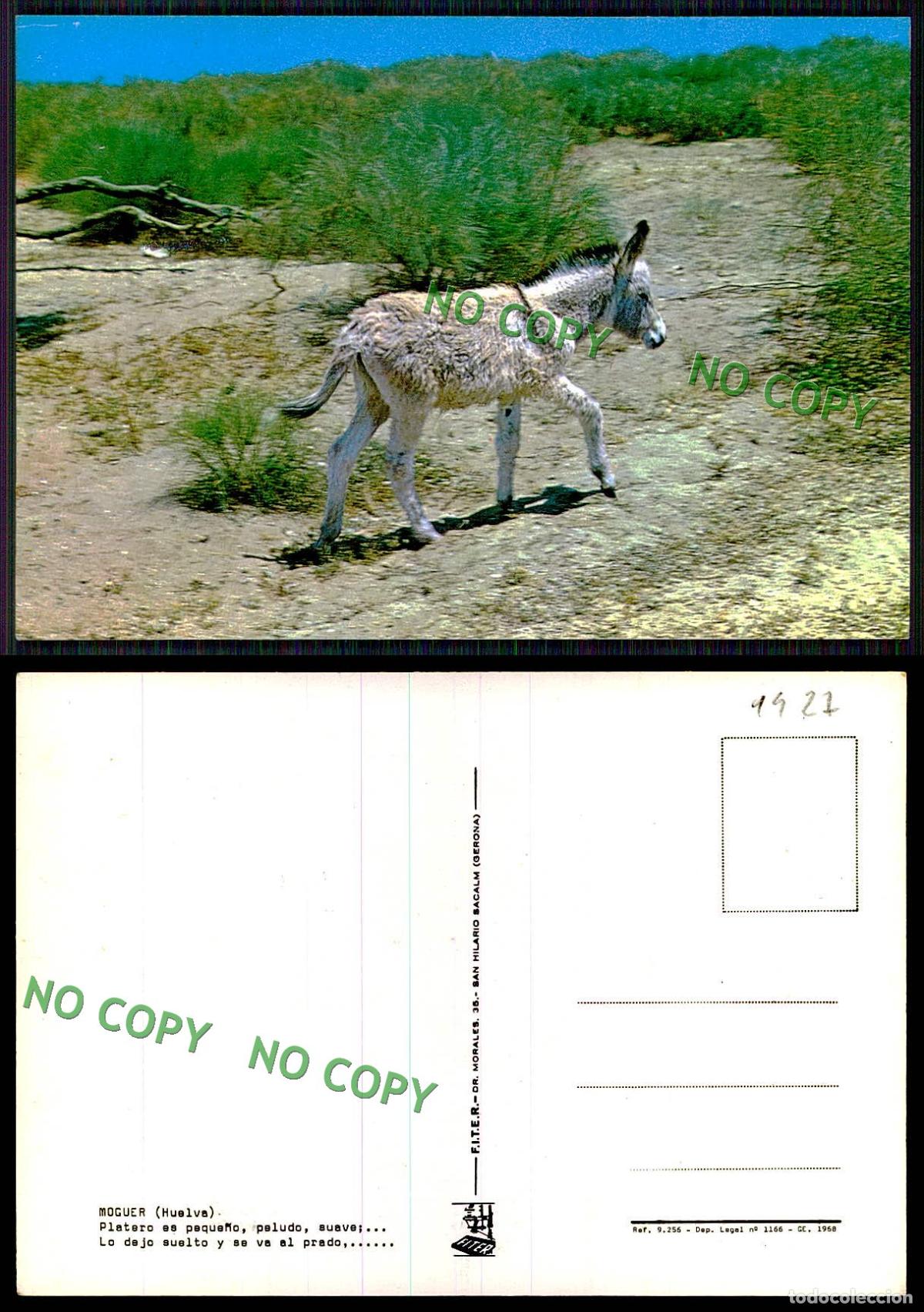 Postales: [ EC 01427 ] - ESPANA - MOGUER - HUELVA - Foto 1
