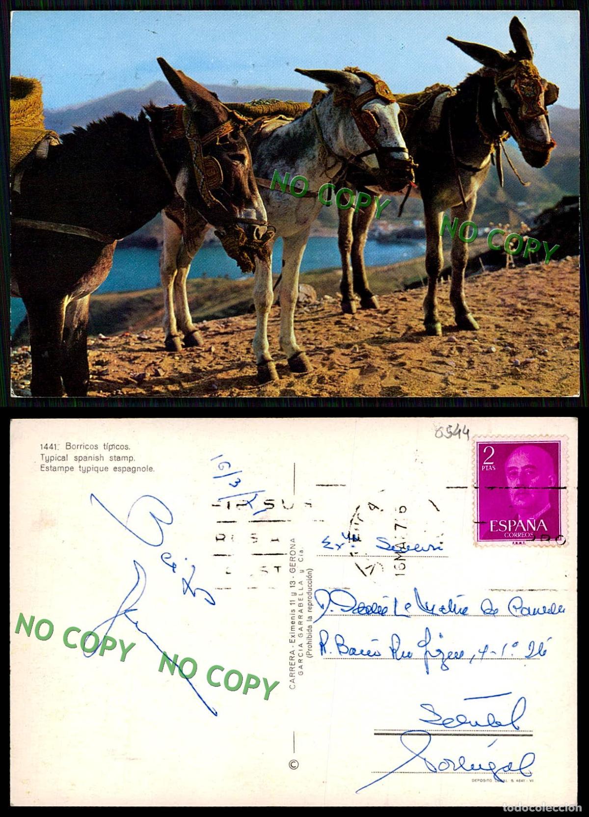 Postales: EC [00544]- ESPANA-BORRICOS TIPICOS - Foto 1