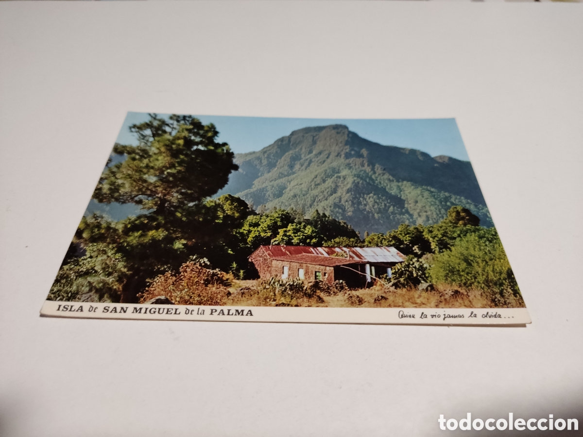 Postales: Postal isla de San Miguel de la Palma - Foto 1