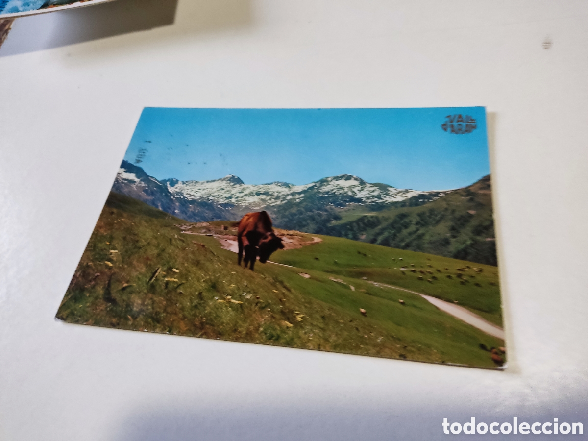 Postales: Postal Vall de aran vacas - Foto 1