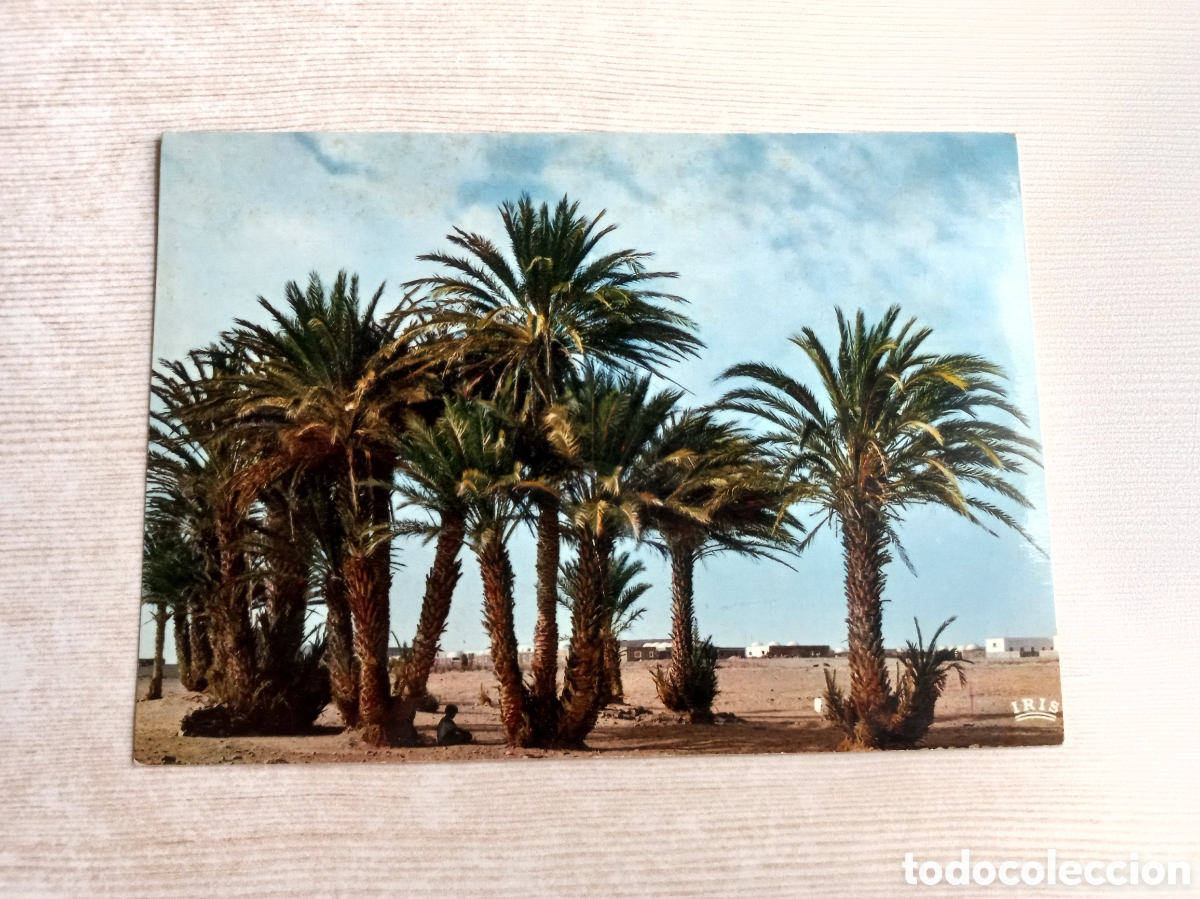 Postales: Postal Smara. S&aacute;hara Espa&ntilde;ol. - Foto 1