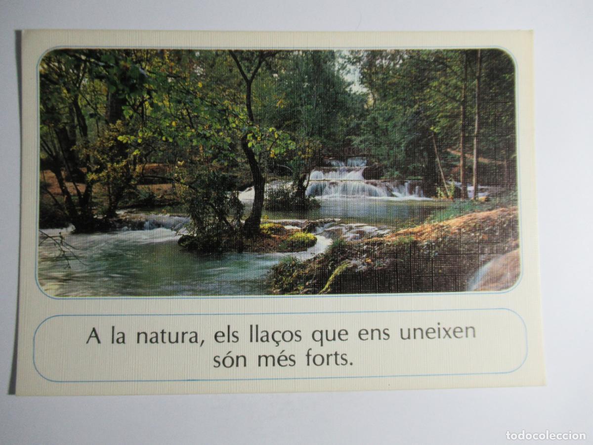 Postales: La Postal de lAmistad - Comercial escudo de oro - Foto 1
