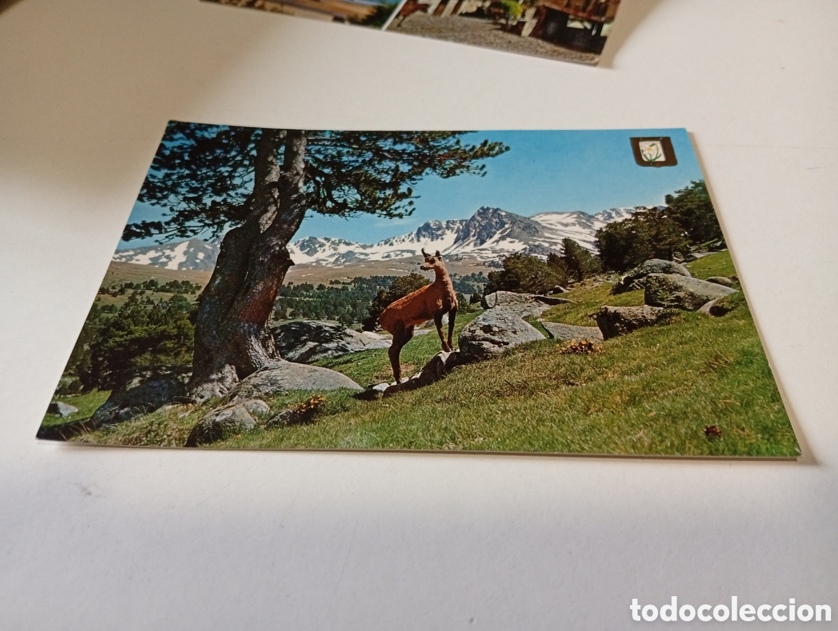 Postales: Postal Valls de Andorra - Foto 1