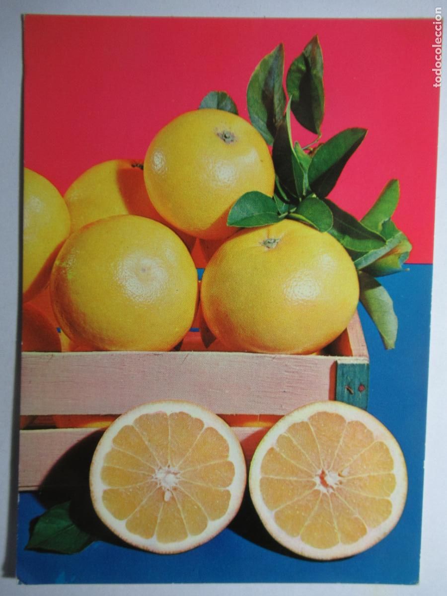 Postales: Espa&ntilde;a - Pomelo - S/C - Foto 1