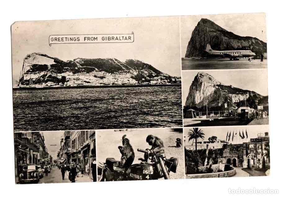 Postales: TARJETA POSTAL GREETINGS FROM GIBRALTAR - Foto 1