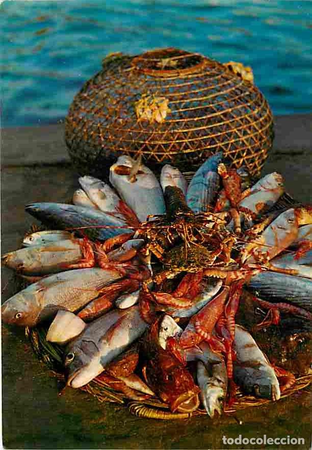 Postales: Espagne - Costa Brava - CPM - Voir Scans Recto-Verso - Foto 1