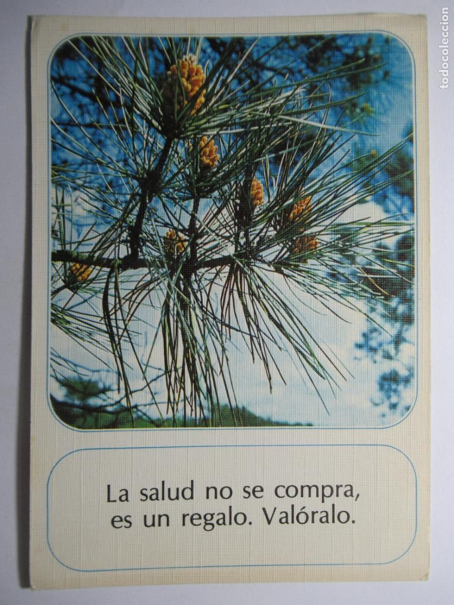 Postales: Postal de regalo comprando otra - Foto 1