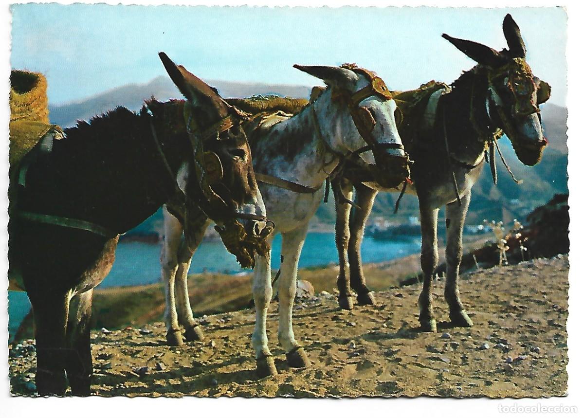 Postales: BORRICOS TIPICOS / TYPICAL SPANISH STAMP.- ESPA&Ntilde;A - Foto 1