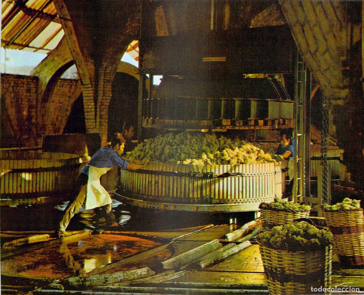 Postales: Postal Cavas Codorniu Catalu&ntilde;a, Prensado de la Uva en la Bodega - Foto 1