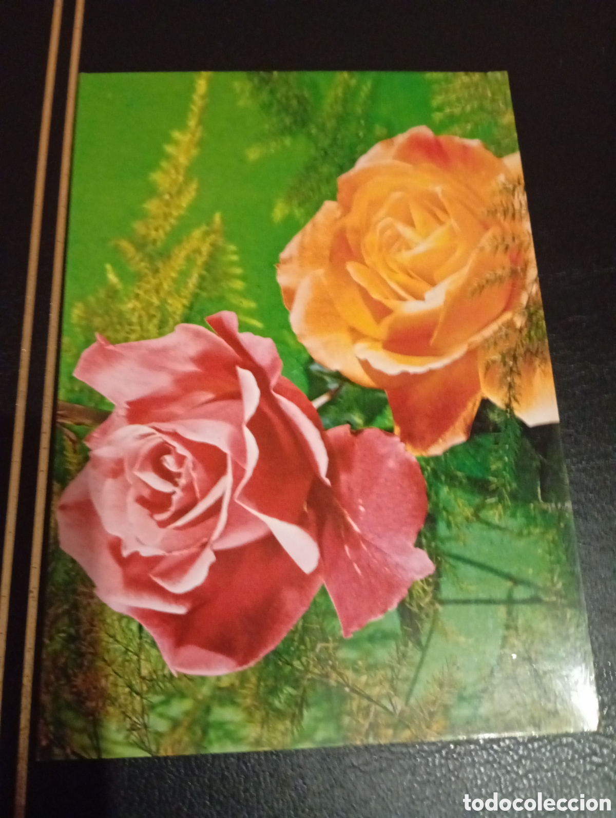 Postales: Postal flores rosas ......... - Foto 1