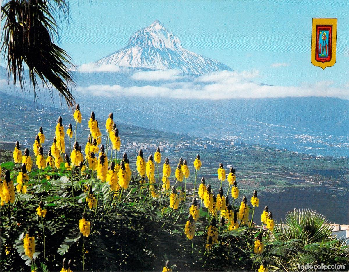 Postales: Postal de El Teide desde La Matanza, Tenerife - Foto 1