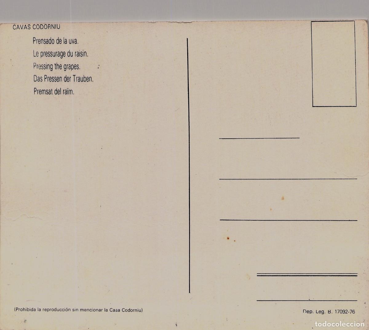 Postales: Postal Cavas Codorn&iacute;u - Prensado de la Uva en Bodega - Foto 2