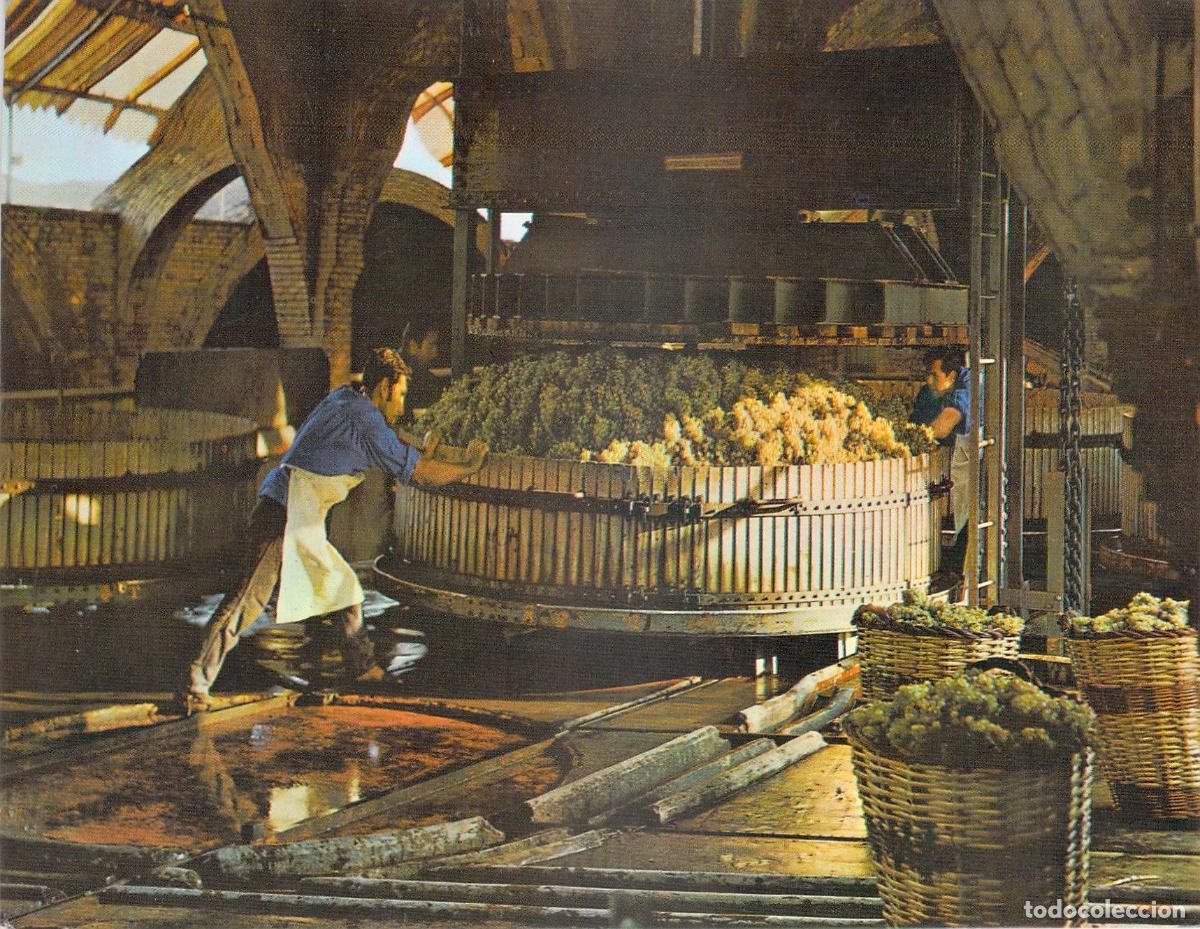 Postales: Postal Cavas Codorn&iacute;u - Prensado de la Uva en Bodega - Foto 1
