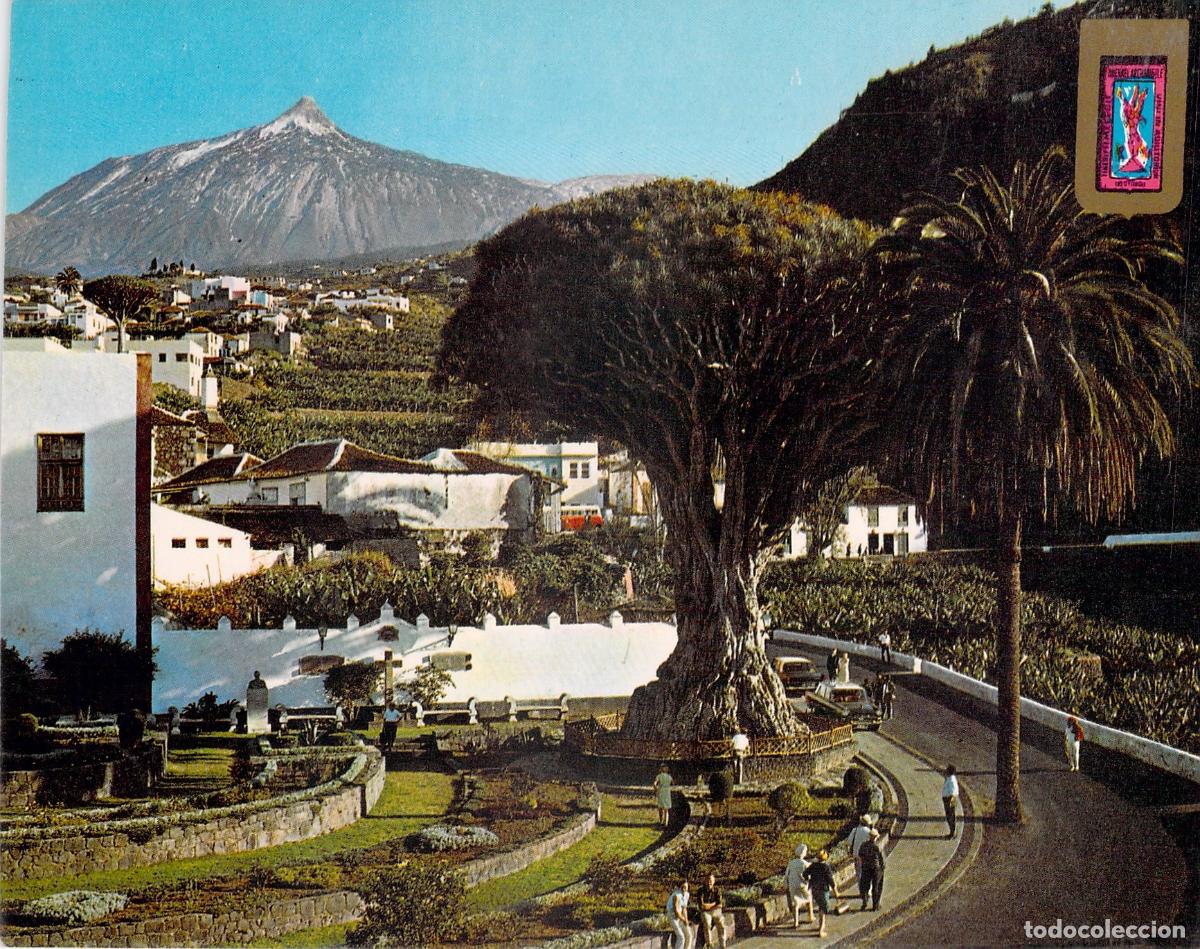 Postales: Postal de Icod de los Vinos con el Drago Milenario y el Teide - Foto 1