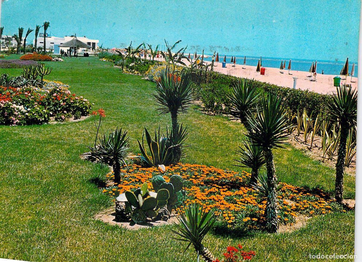 Postales: Postal de Isla Canela y Jardines en Ayamonte, Huelva - Foto 1