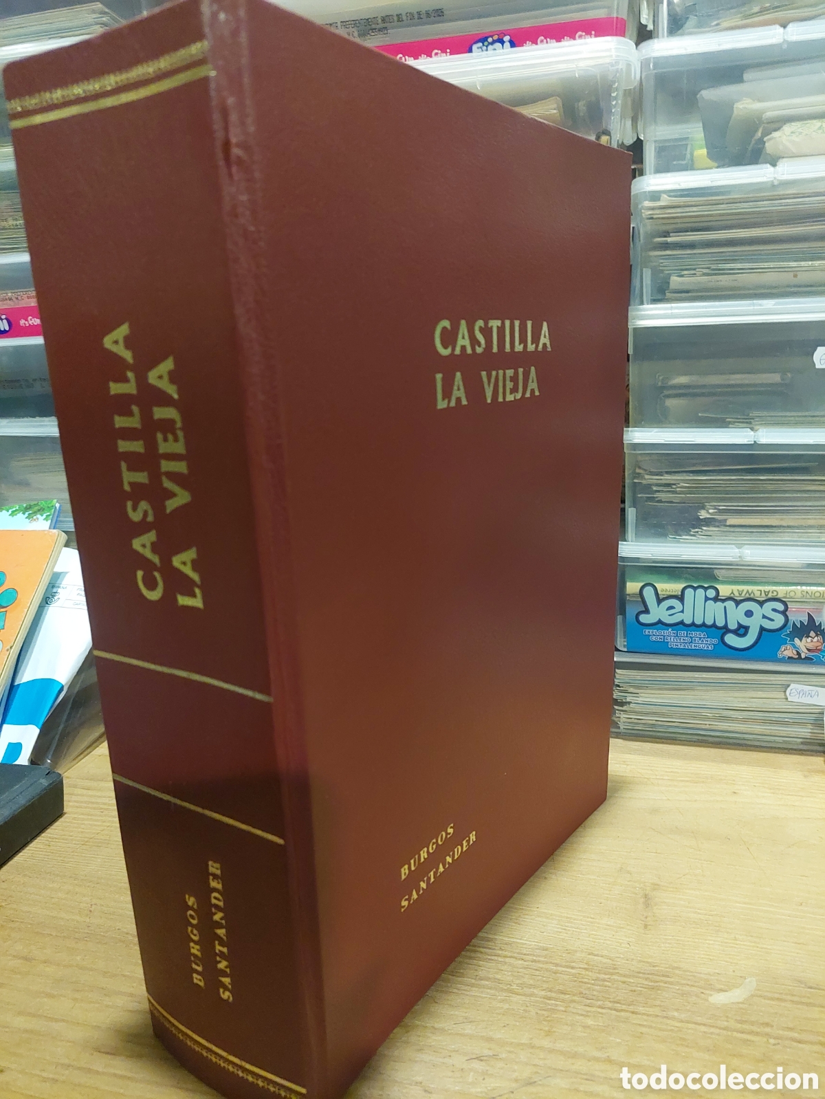 Postales: &Aacute;LBUMES LUJO POSTALES CASTILLA LA VIEJA BURGOS Y SANTANDER FOTOS tambi&eacute;n