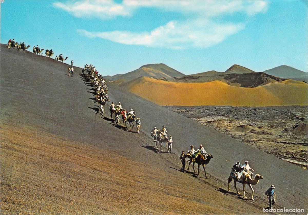 Postales: Postal de Lanzarote: Caravana de camellos en la isla de los volcanes