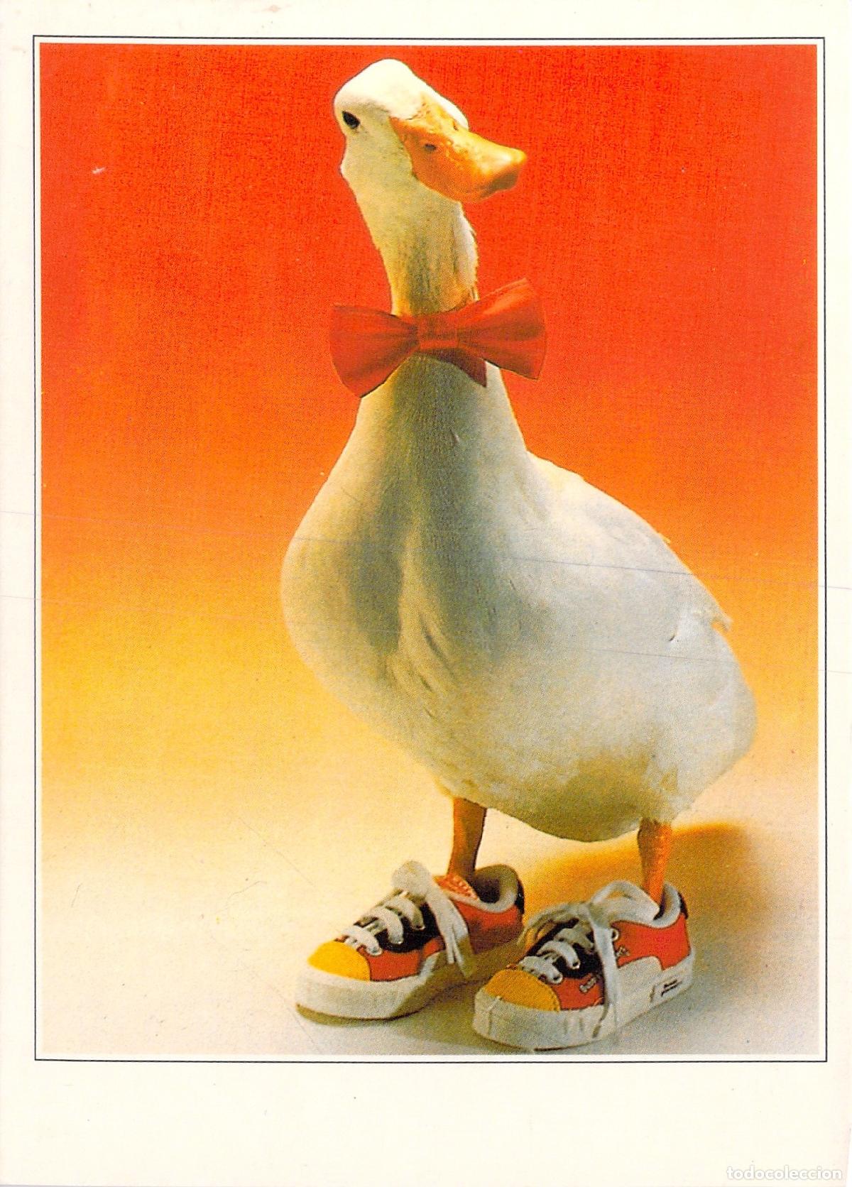 Postales: Postal de Humor con Pato en Zapatillas y Pajarita