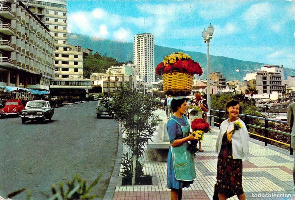 Postales: Postal Puerto de la Cruz Tenerife Vista General con Vendedora de Flores