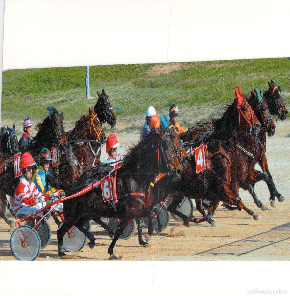 Postales: Postal Carreras de Trote en el Hip&oacute;dromo Municipal de Ma&oacute;, Menorca