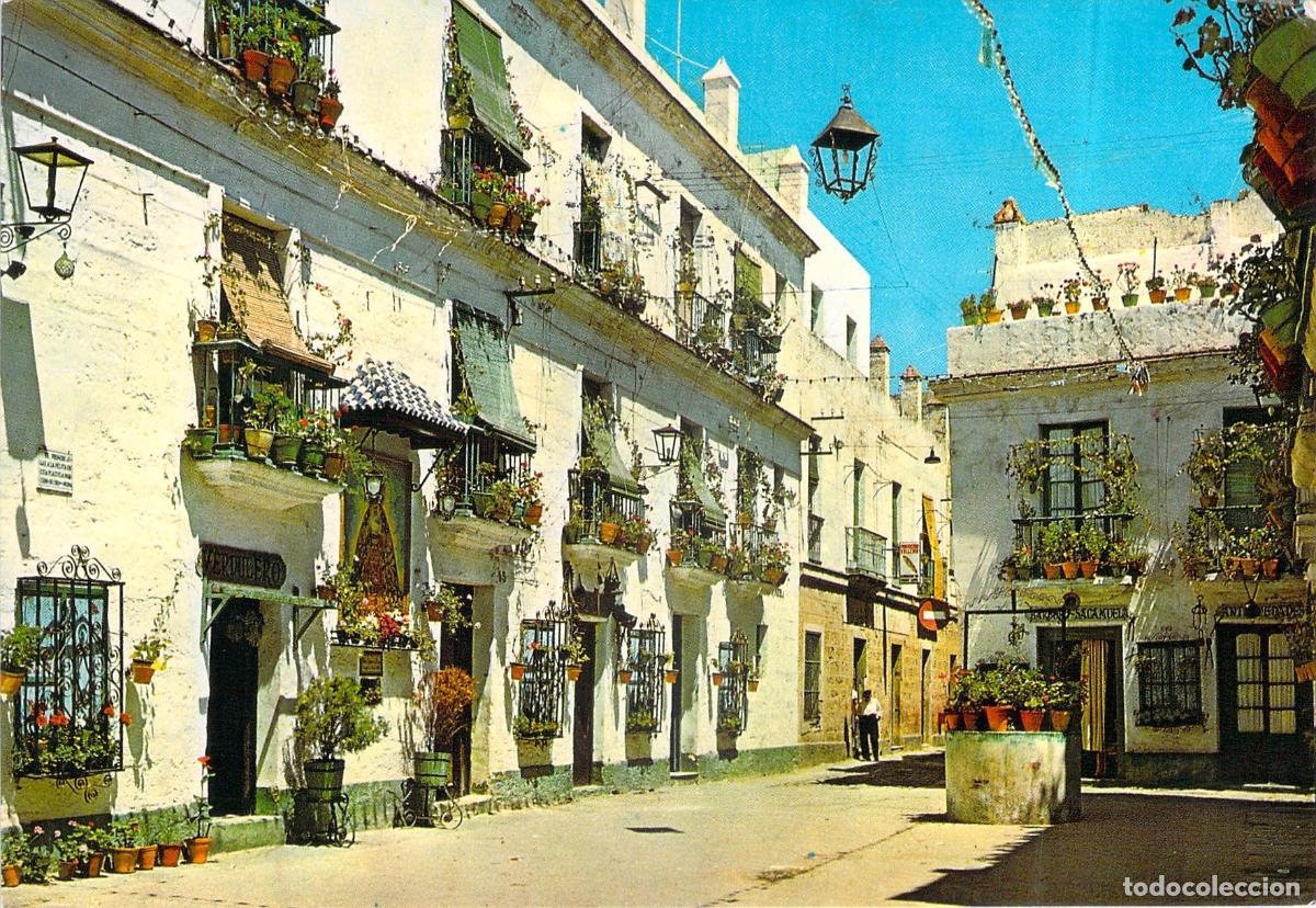 Postales: Postal de C&aacute;diz, Plazuela del T&iacute;o la Tiza con Balcones Floreados