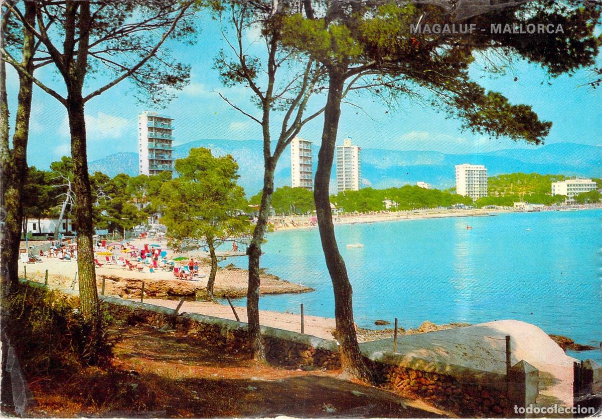 Postales: Postal de Magaluf en Mallorca con Vistas a la Playa y Hoteles