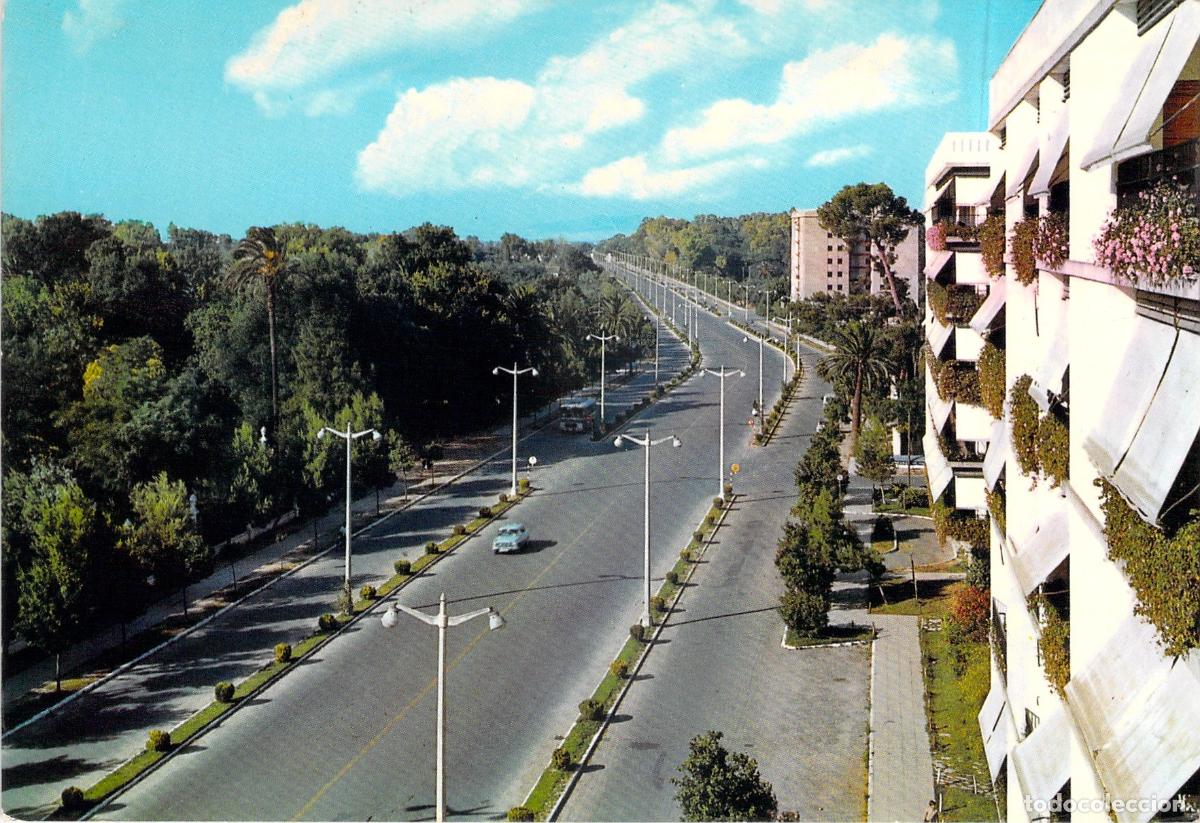 Postales: Postal de la Avenida Alcalde &Aacute;lvaro Domecq en Jerez de la Frontera