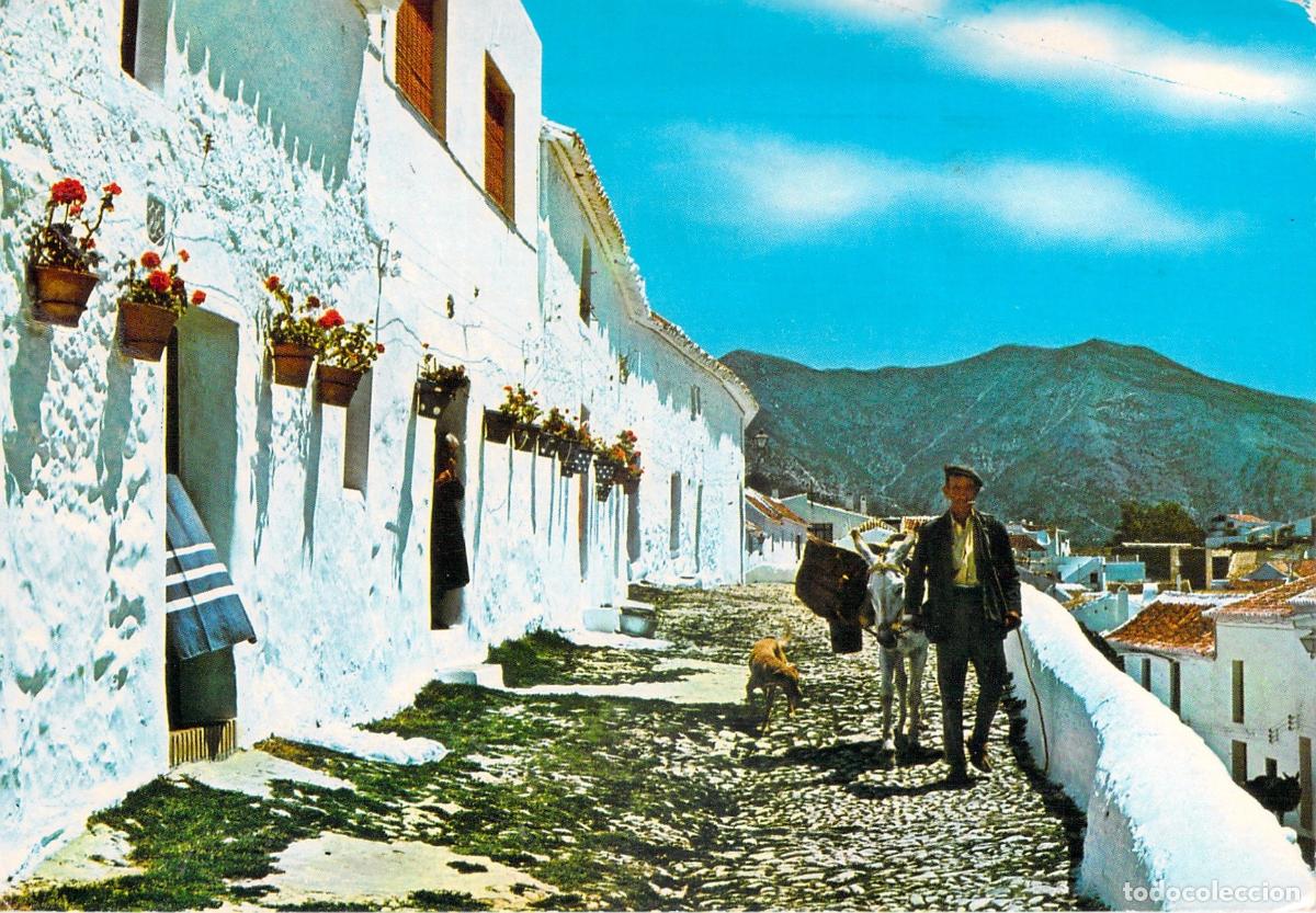 Postales: Postal Calle T&iacute;pica de Mijas con Burro en la Costa del Sol