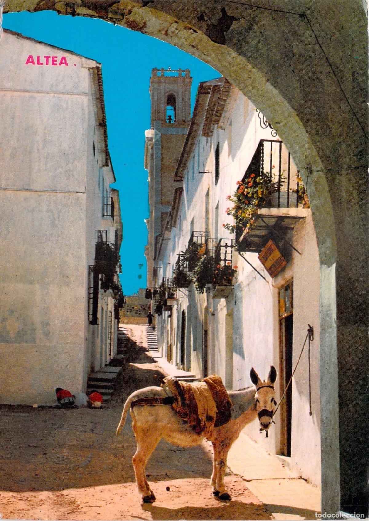 Postales: Postal de Altea, Alicante - T&iacute;pica Calle Mayor con Burro