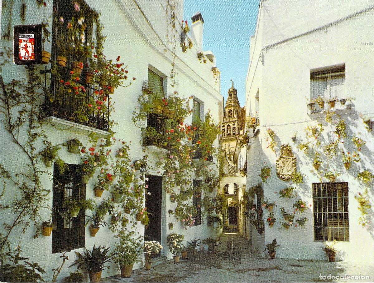 Postales: Postal de C&oacute;rdoba: Calleja y Plaza de las Flores y Torre de la Mezquita