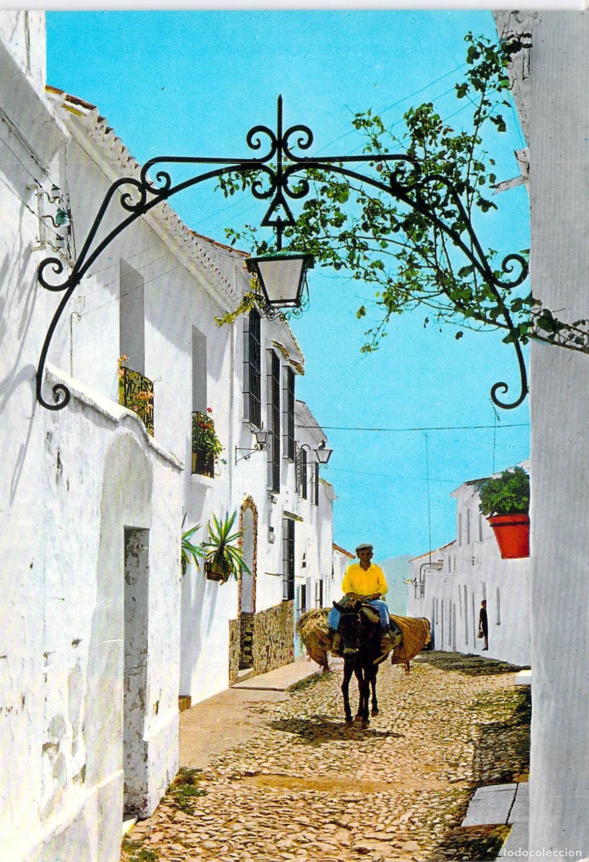 Postales: Postal de Calle T&iacute;pica en Mijas con Burro, Costa del Sol