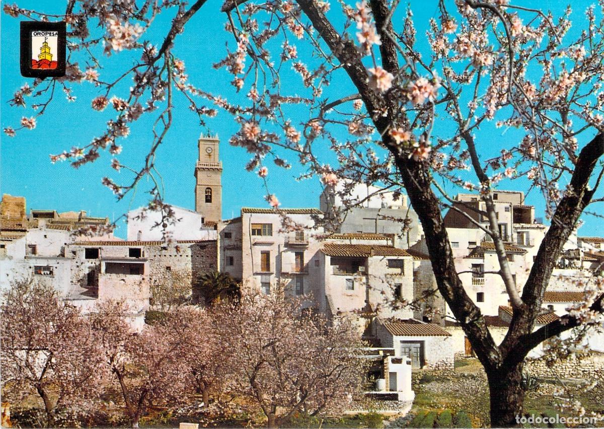 Postales: Postal Oropesa del Mar Castell&oacute;n Vista Parcial con Almendros en Flor