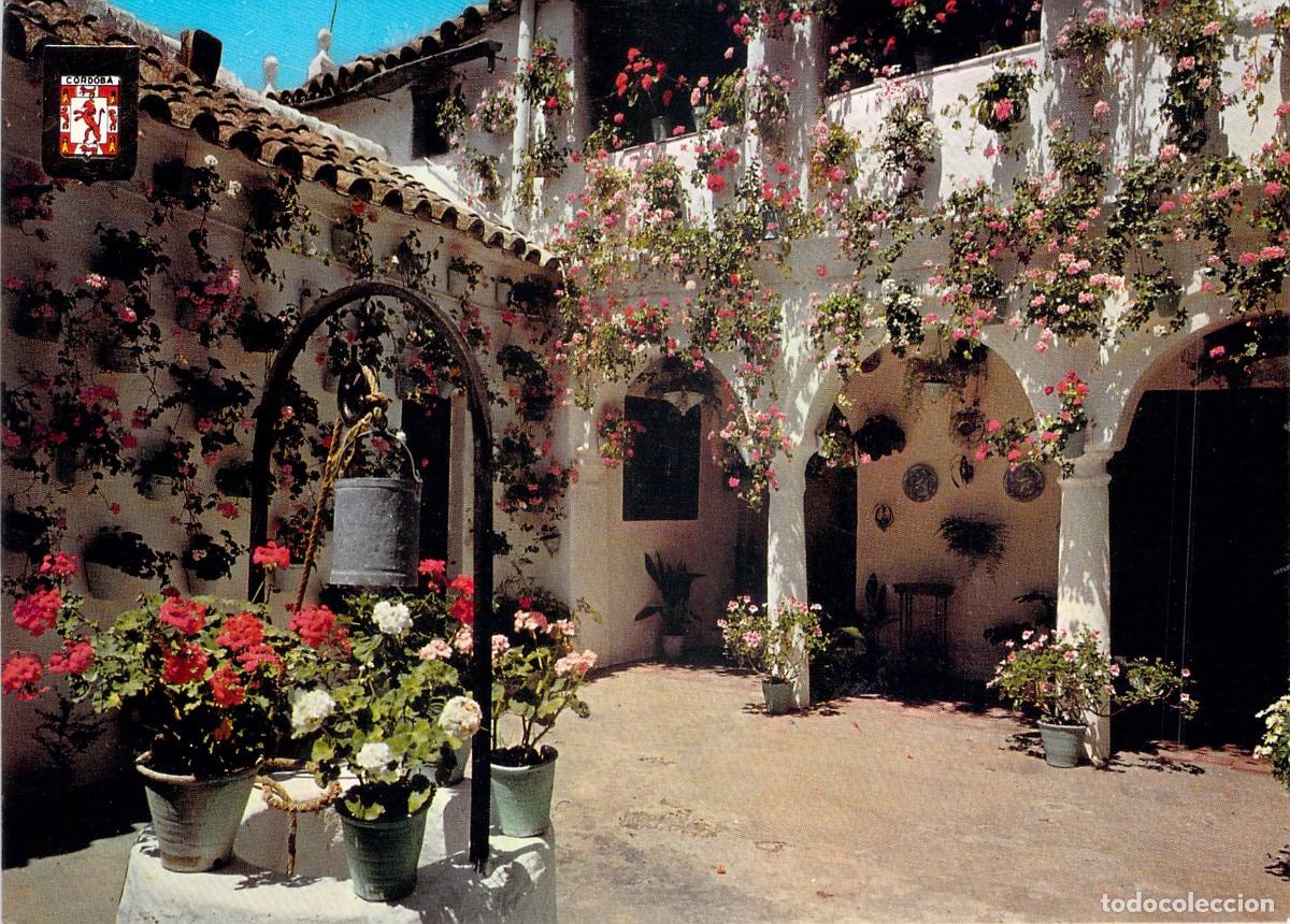 Postales: Postal de Patio Cordob&eacute;s en la Calle Enmedio 29, C&oacute;rdoba