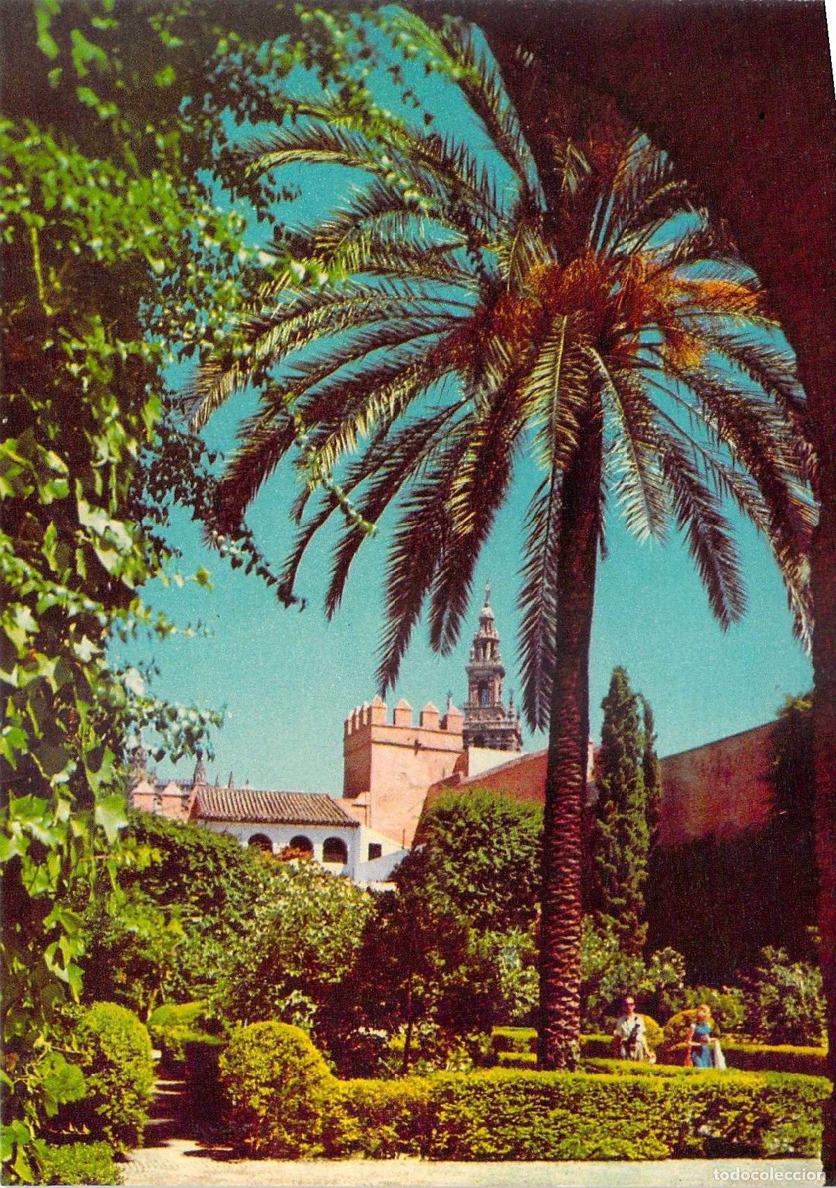 Postales: Postal de Sevilla: Vista de los Jardines del Alc&aacute;zar