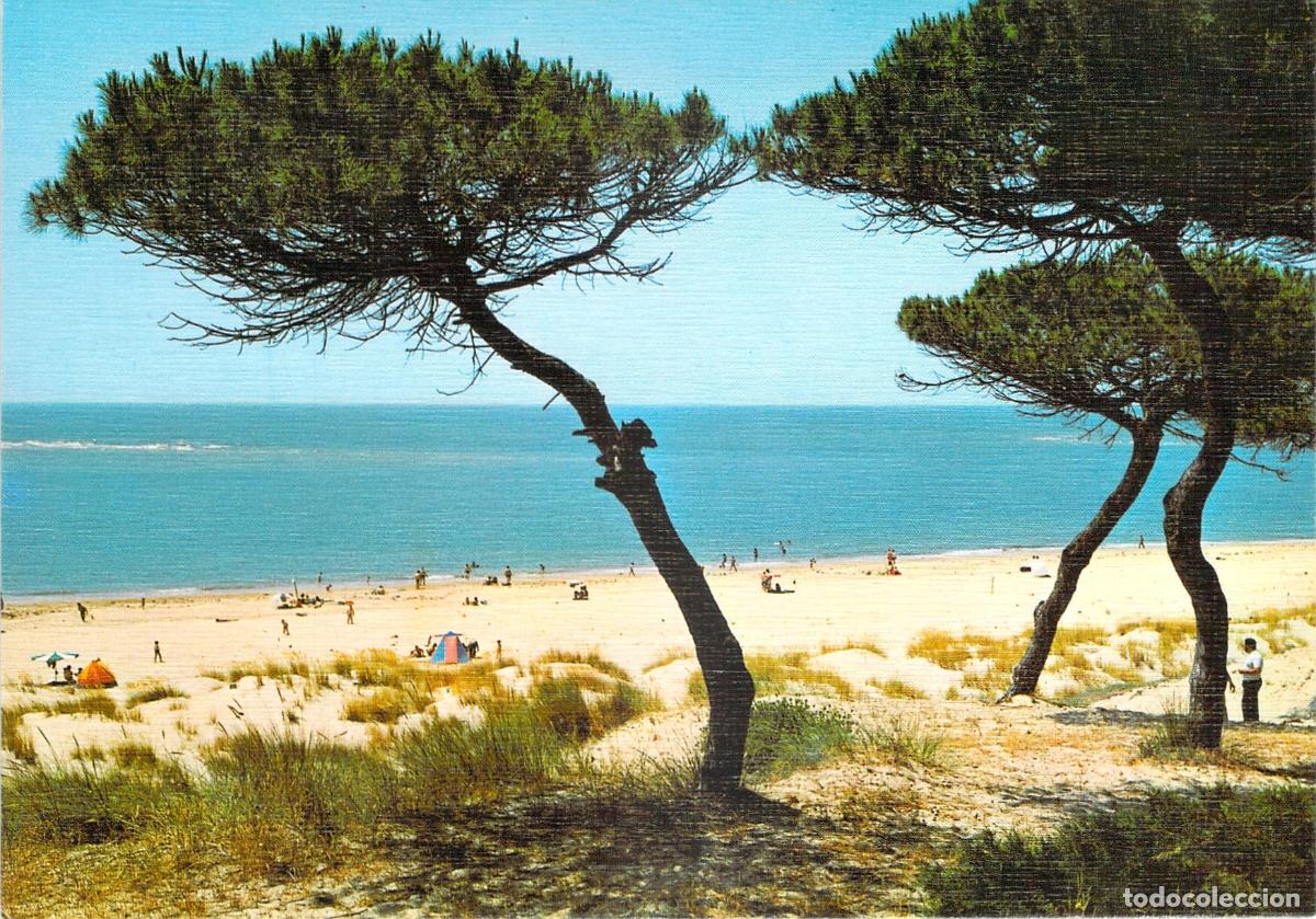 Postales: Tarjeta Postal Playa de Punta Umbr&iacute;a, Huelva - Ediciones Arribas