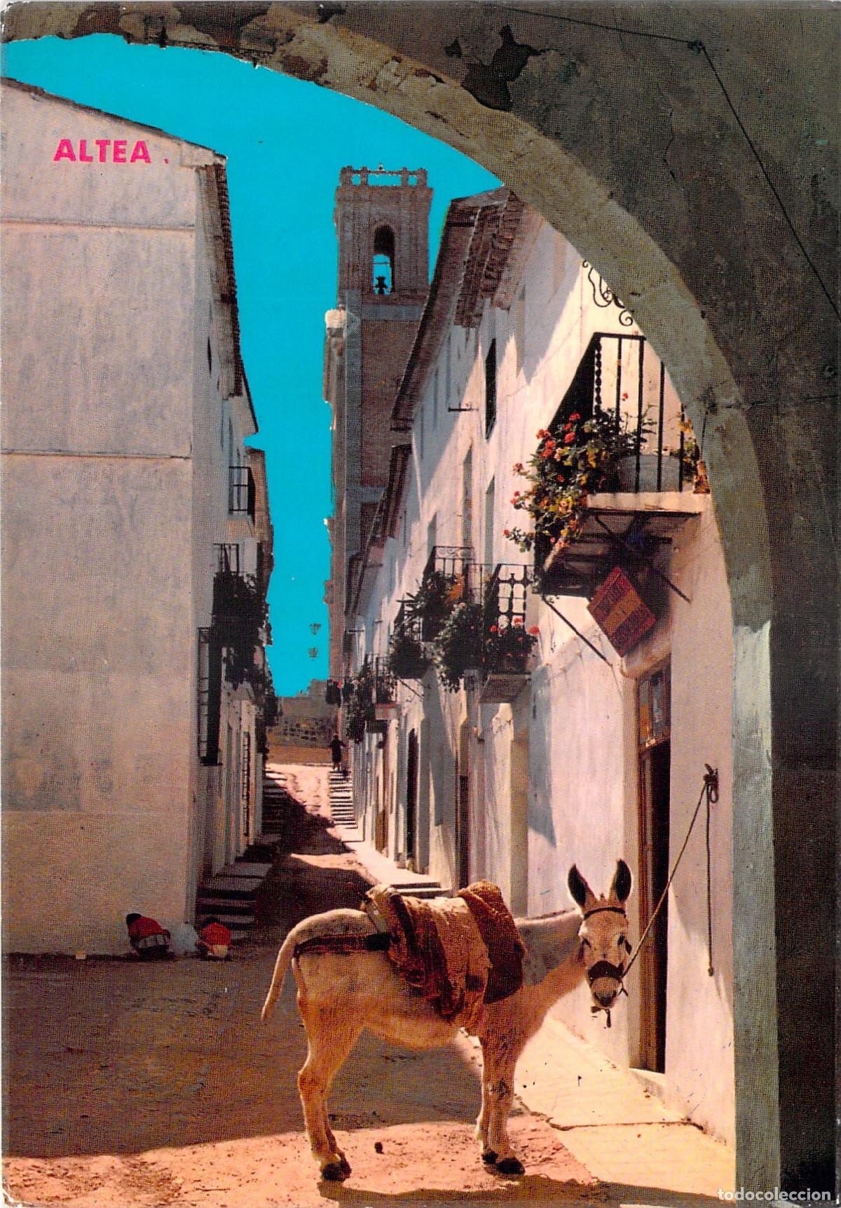 Postales: Postal de Altea, Alicante - T&iacute;pica Calle Mayor con Burro