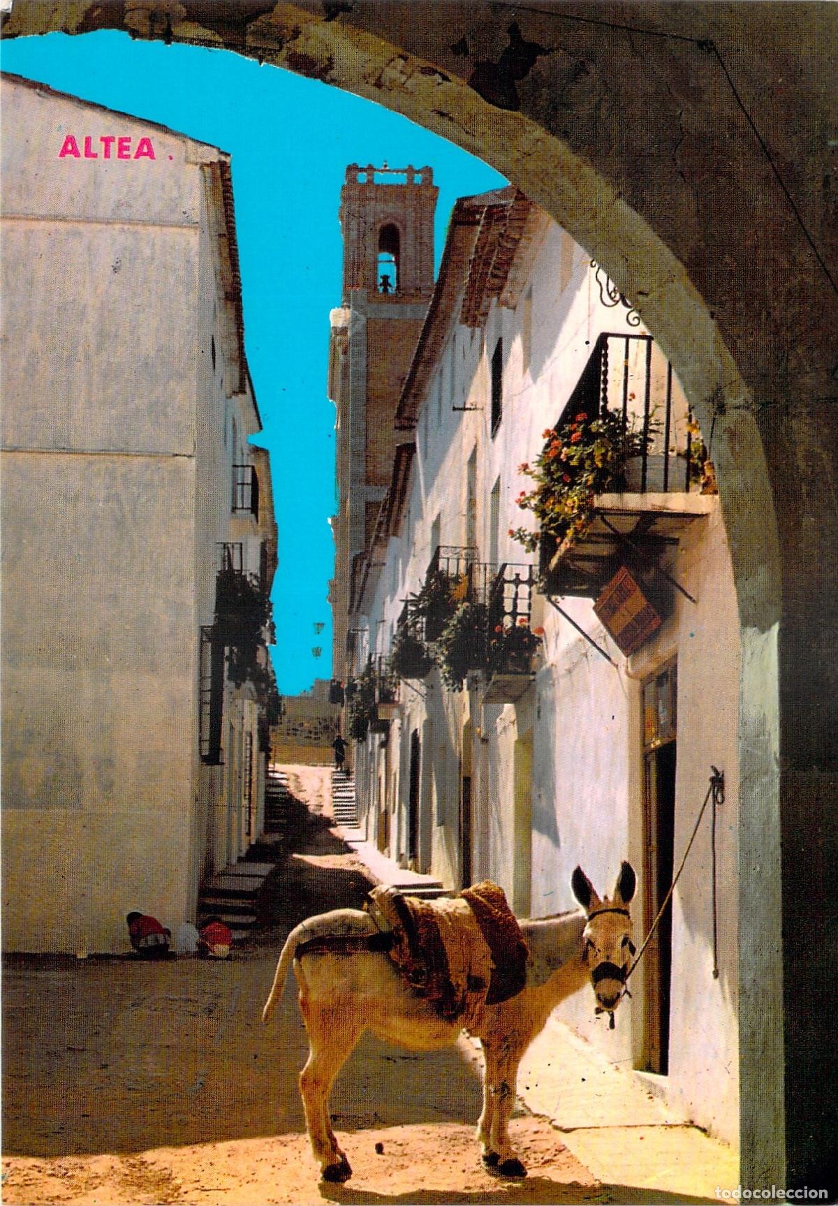 Postales: Postal de Altea, Alicante - T&iacute;pica Calle Mayor con Burro