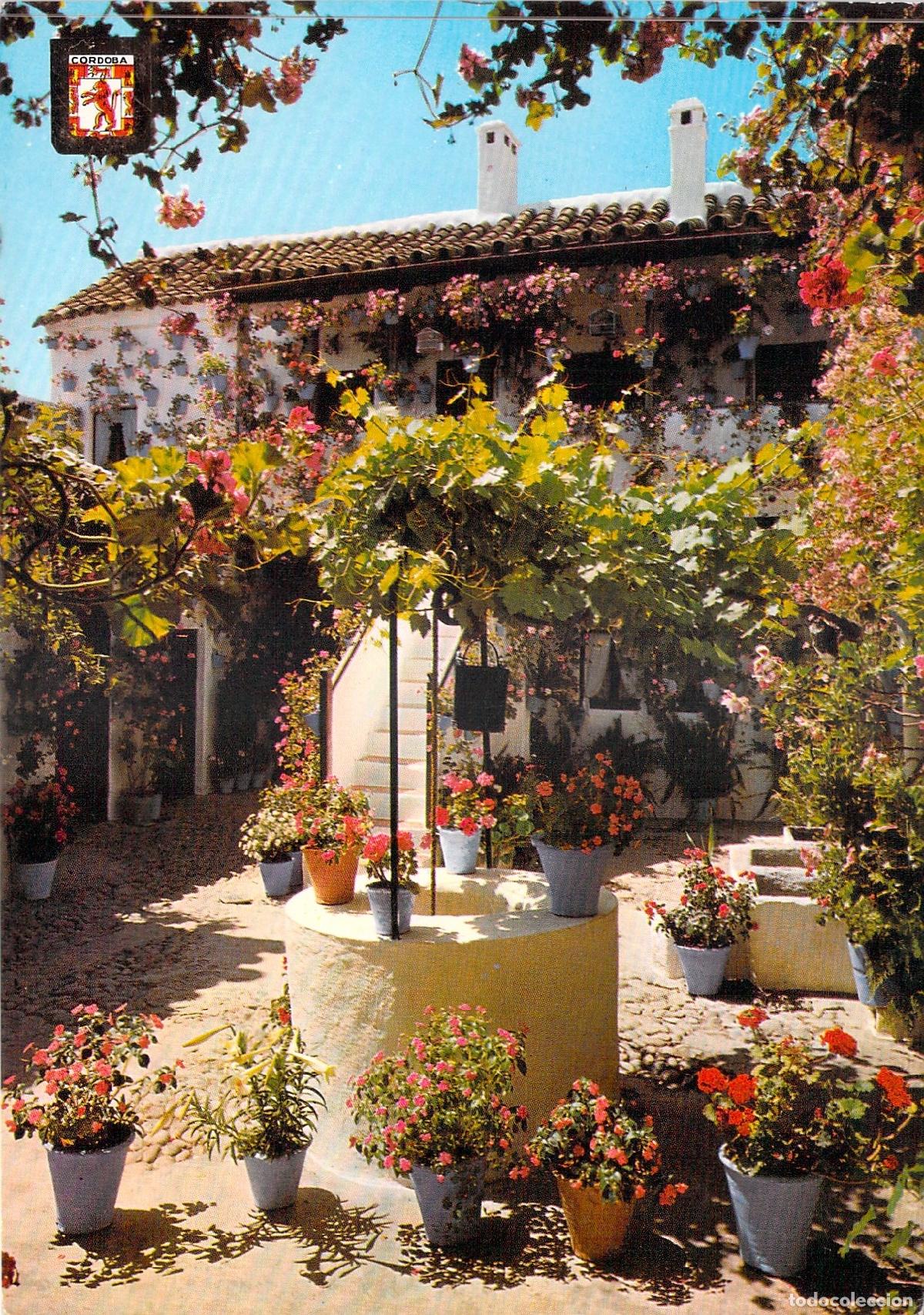 Postales: Postal Patio Cordob&eacute;s Calle San Basilio Premio de Honor