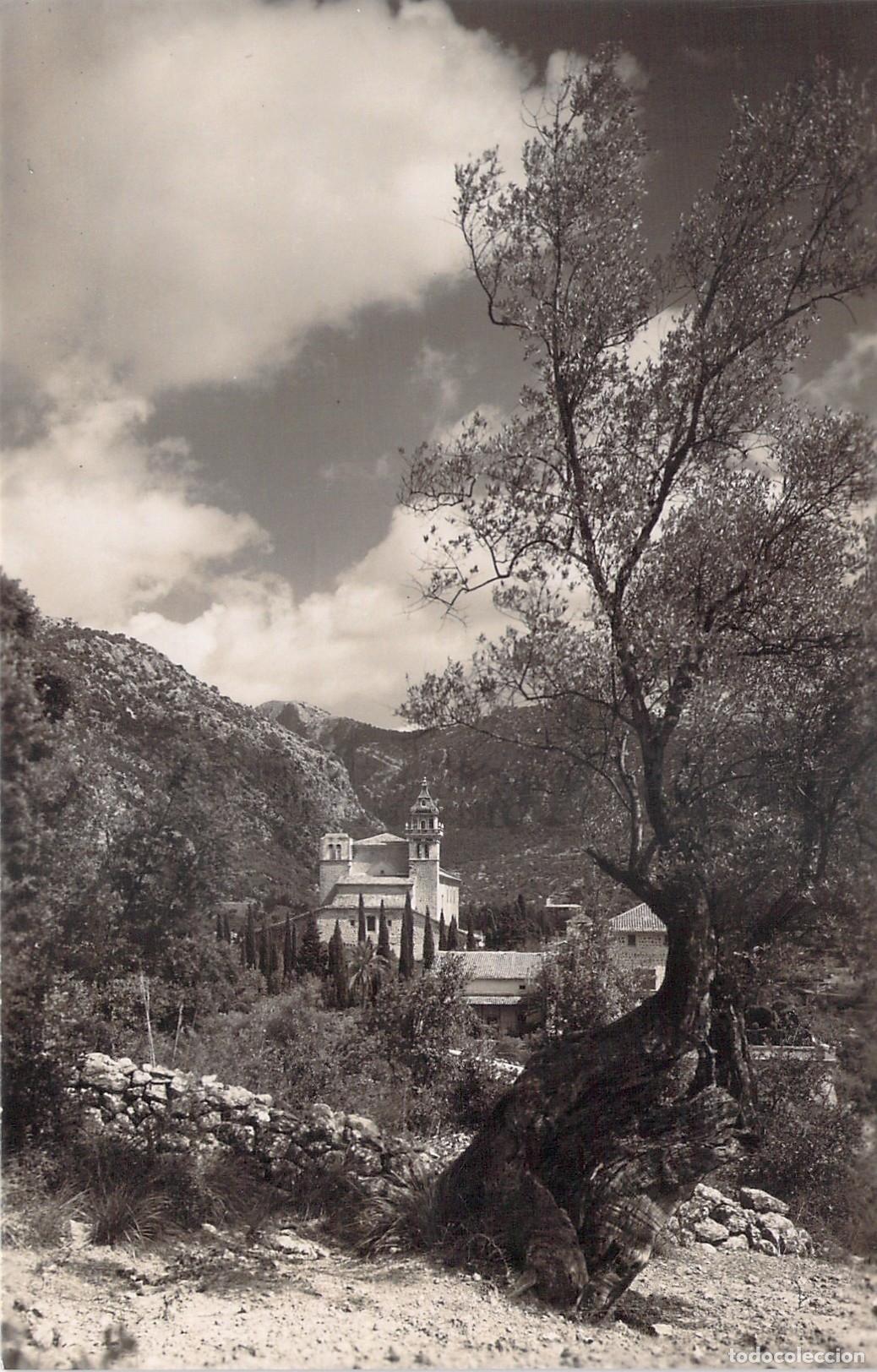 Postales: Postal de Valldemossa, Mallorca - Alrededores de La Cartuja y Olivo