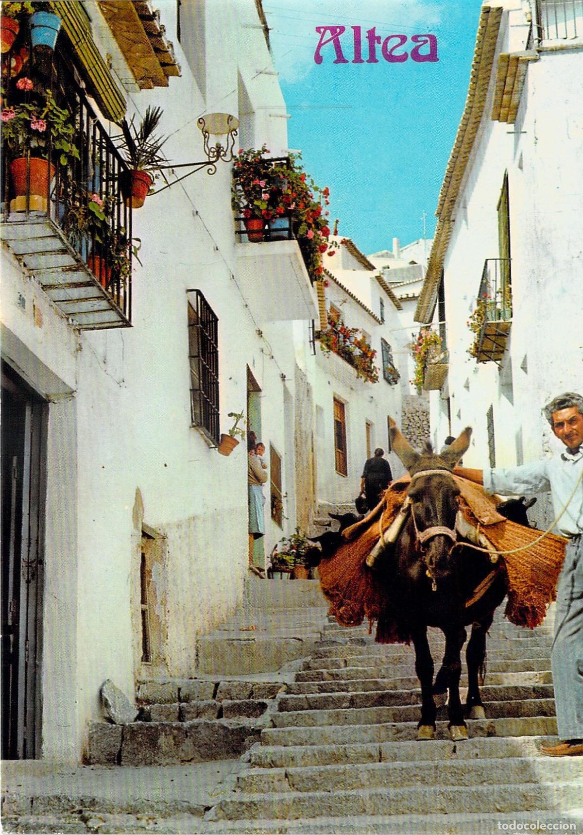 Postales: Postal de Altea, Alicante - Calle T&iacute;pica y Burro