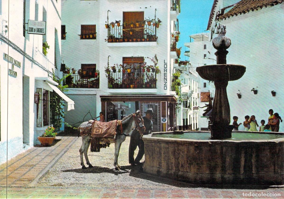 Postales: Postal de Marbella: Fuente de la Suerte y Burro-Taxi