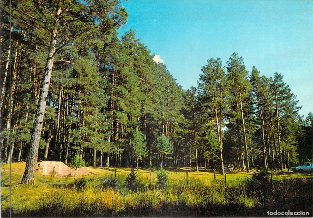 Postales: Postal de Orea, Guadalajara - Fuente de la Sicara y Paisaje Forestal