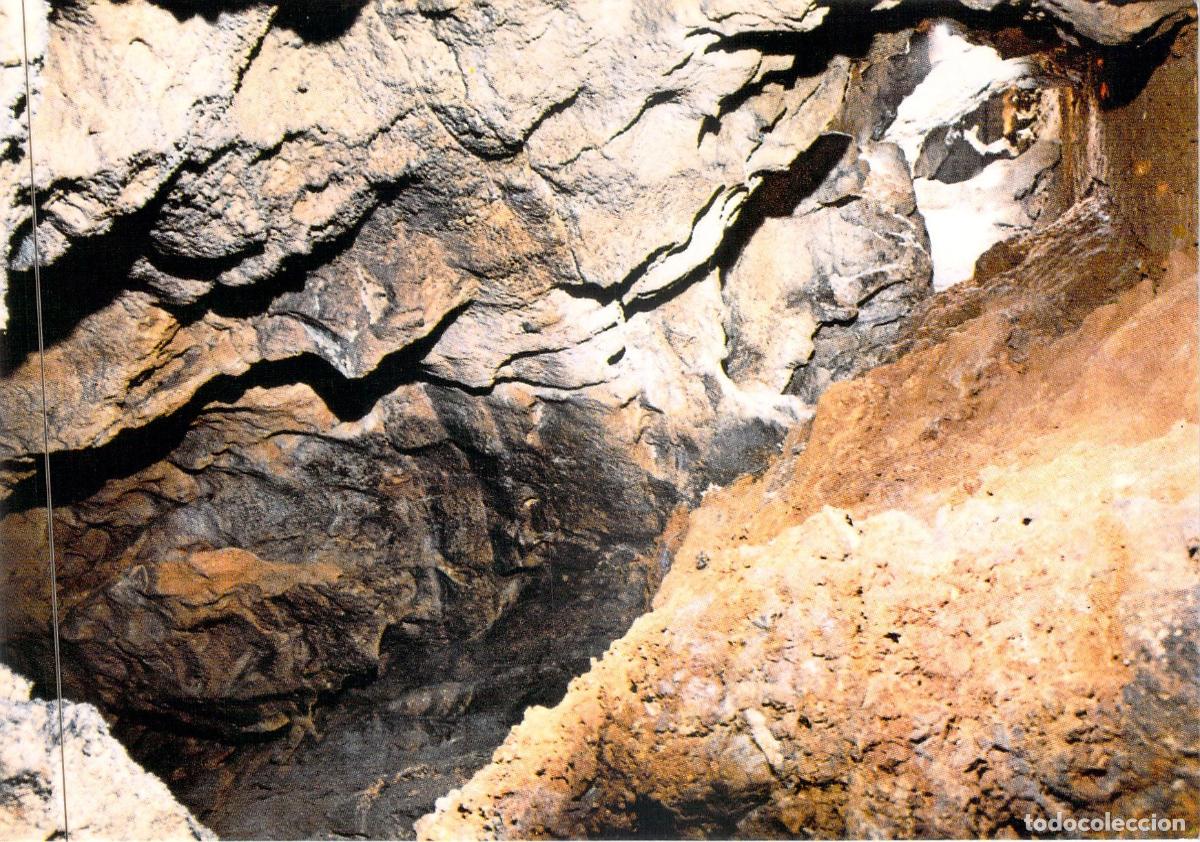 Cartoline: Postal de Benidoleig Alicante Cova les Calaveres Gruta Marina
