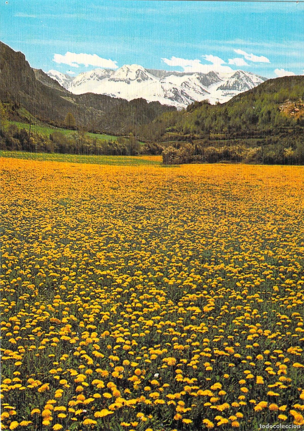 Postales: Postal Valle de Tena, Huesca - Mar de Flores y Pe&ntilde;a de Hoz