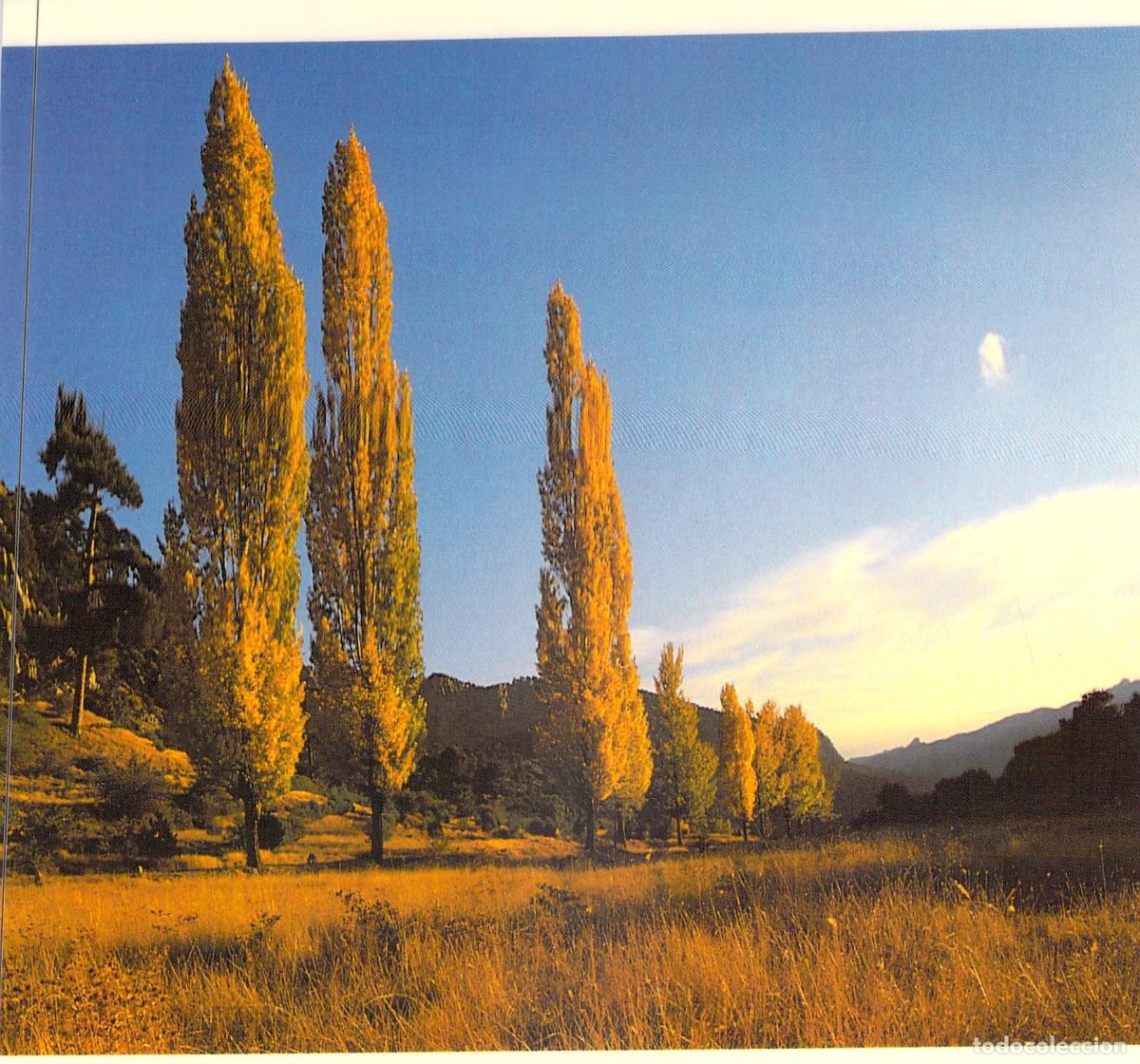 Postales: Postal Atardecer en Poyo Manquillo, Sierra de Cazorla